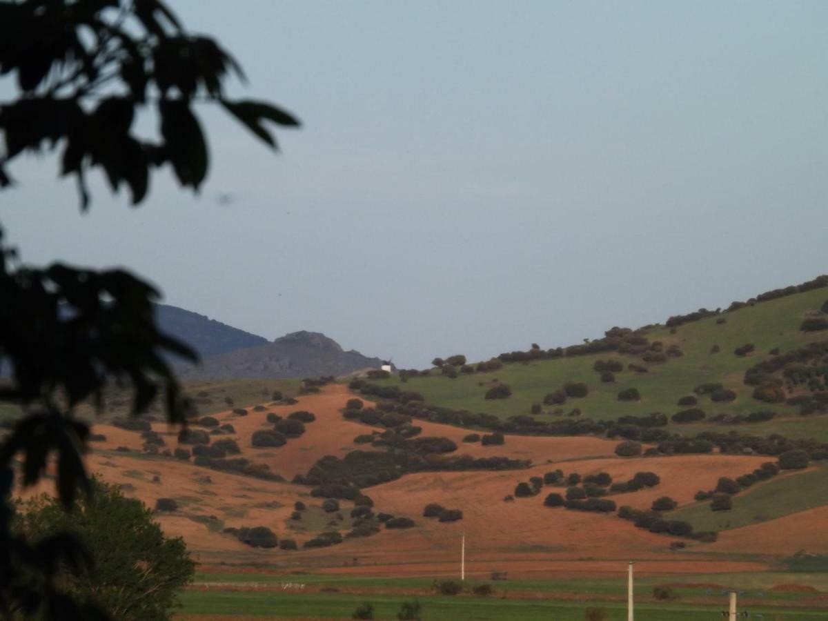 El Labriego, Casa Rural Fuente el Fresno エクステリア 写真