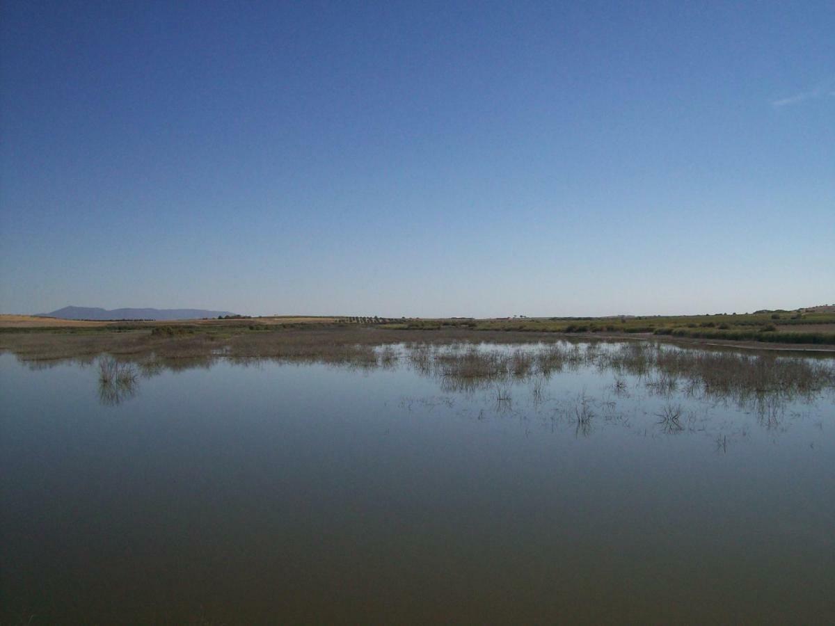 El Labriego, Casa Rural Fuente el Fresno エクステリア 写真